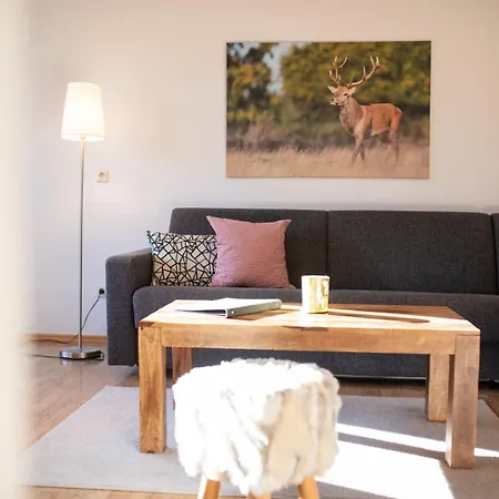 Alpenhimmel شقة جارمش بارتنكيرشن